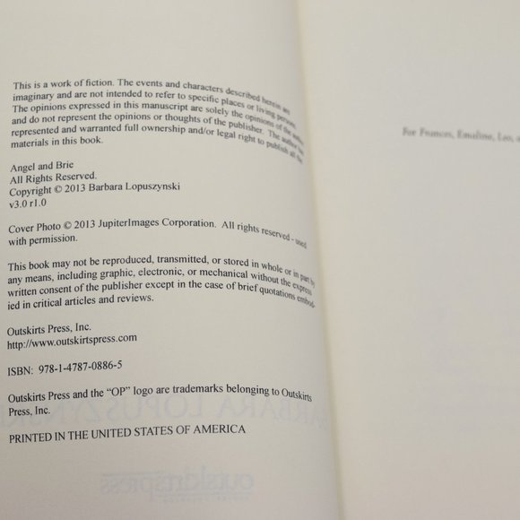 Angel and Brie Barbara Lopuszynski Paperback YA Fiction Adventure - Picture 7 of 11